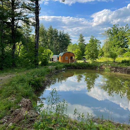 The Hideaway Tiny Cabin East Durham Extérieur photo